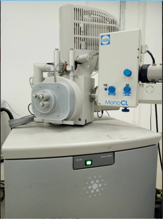 喷金处理会影响表面几何结构吗？